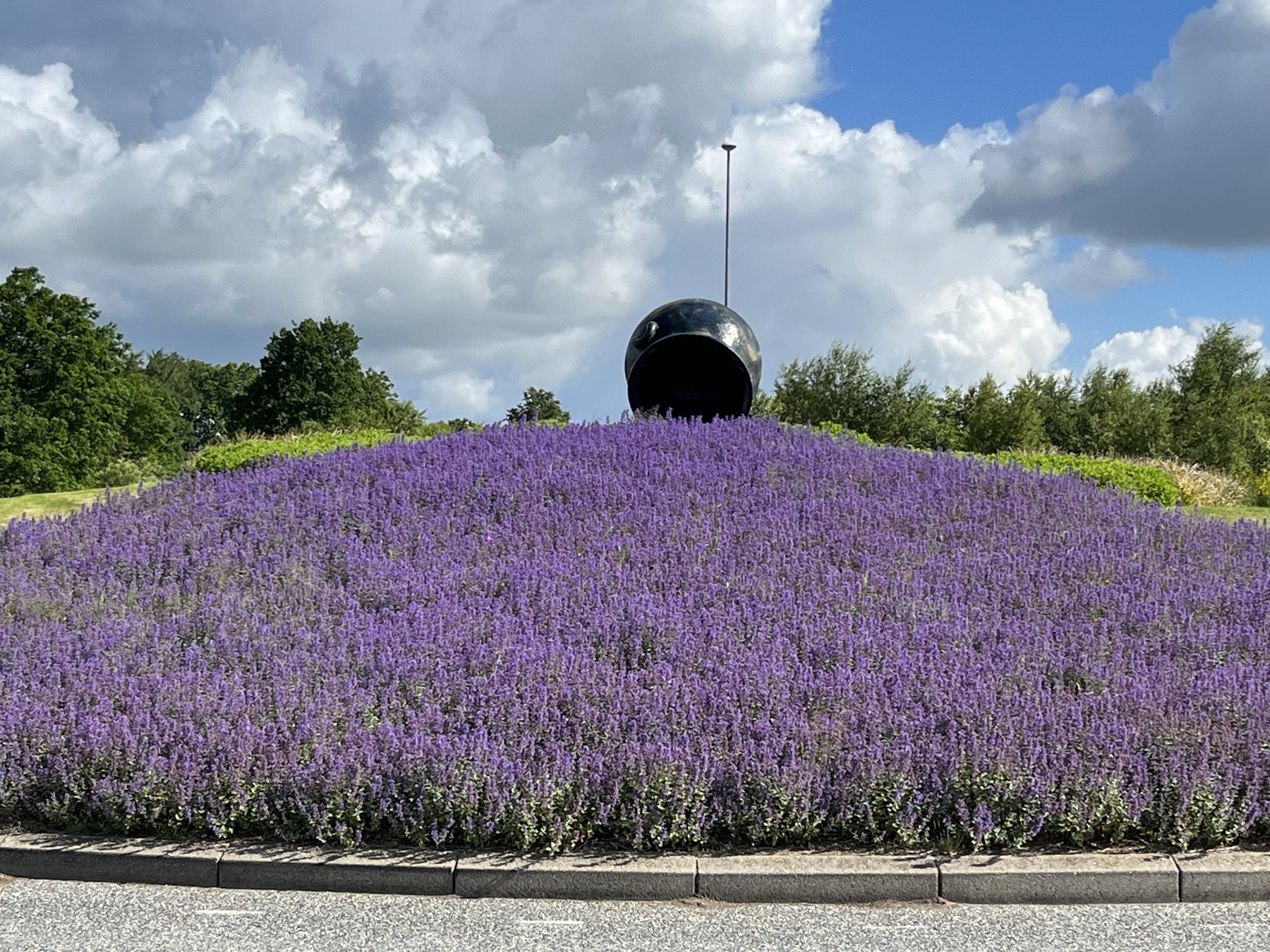 Lilla blomster ved jydepotten i Grindsted